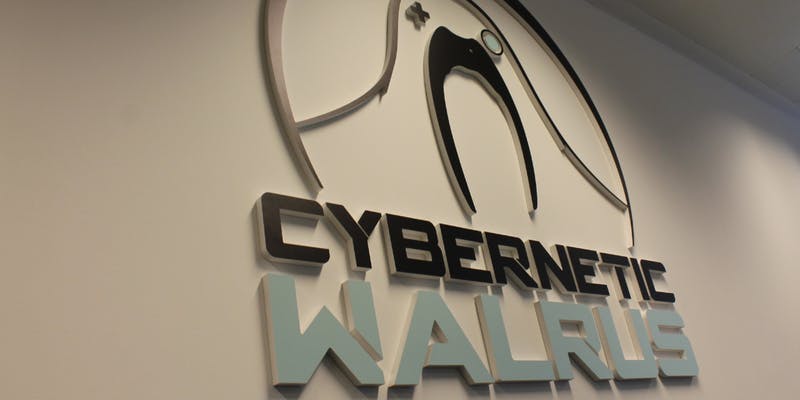 Cybernetic Walrus needs investment and financing to boost its growth.